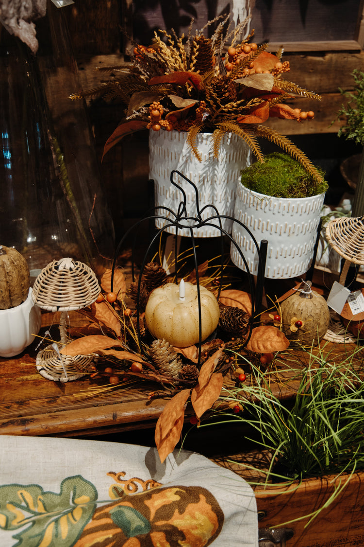 Fall