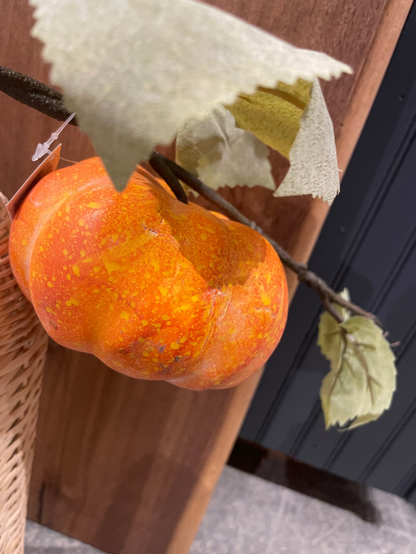 Orange Pumpkin Vine