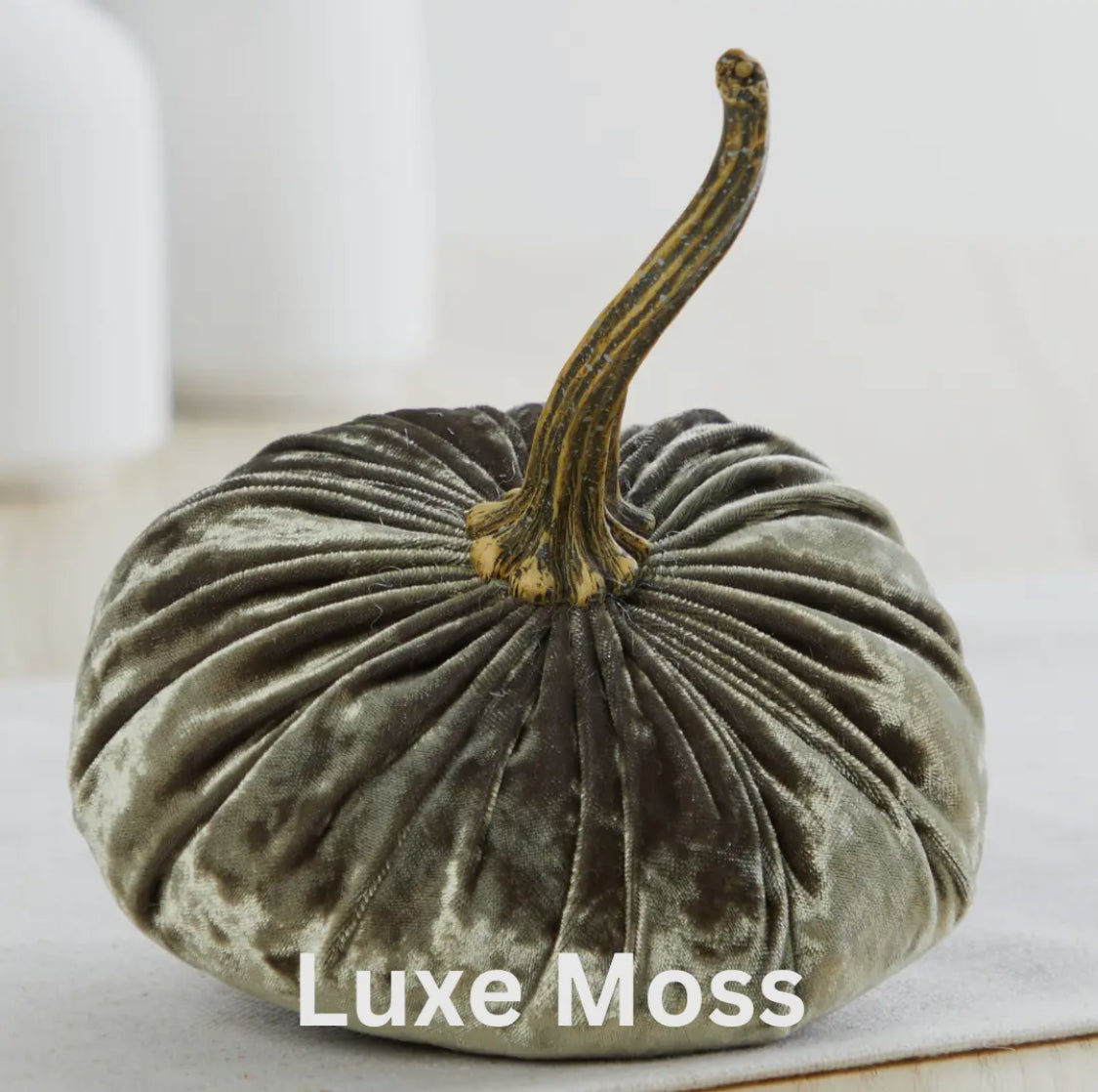 Large Velvet Pumpkin