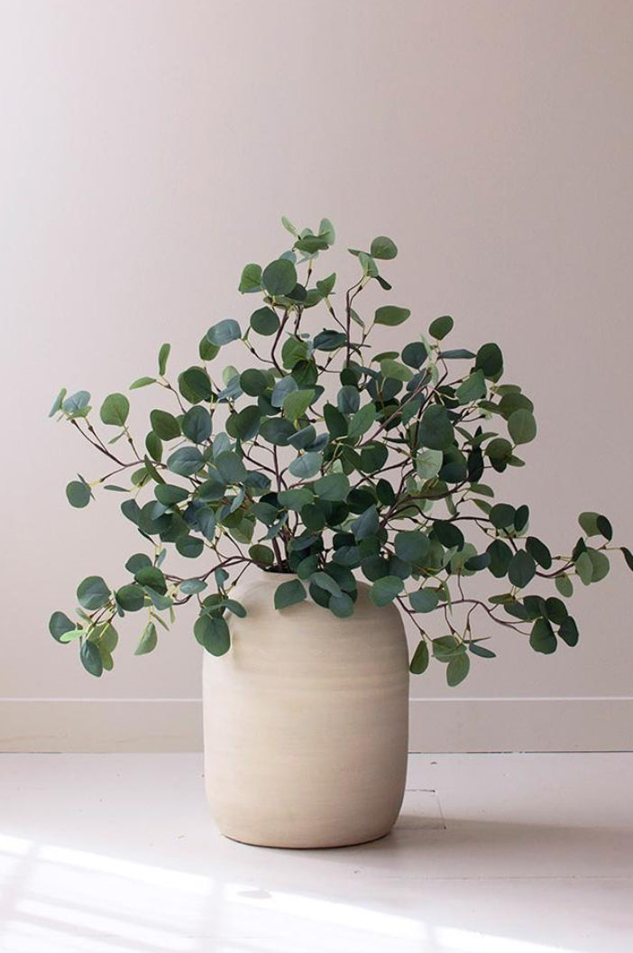 Eucalyptus Stem