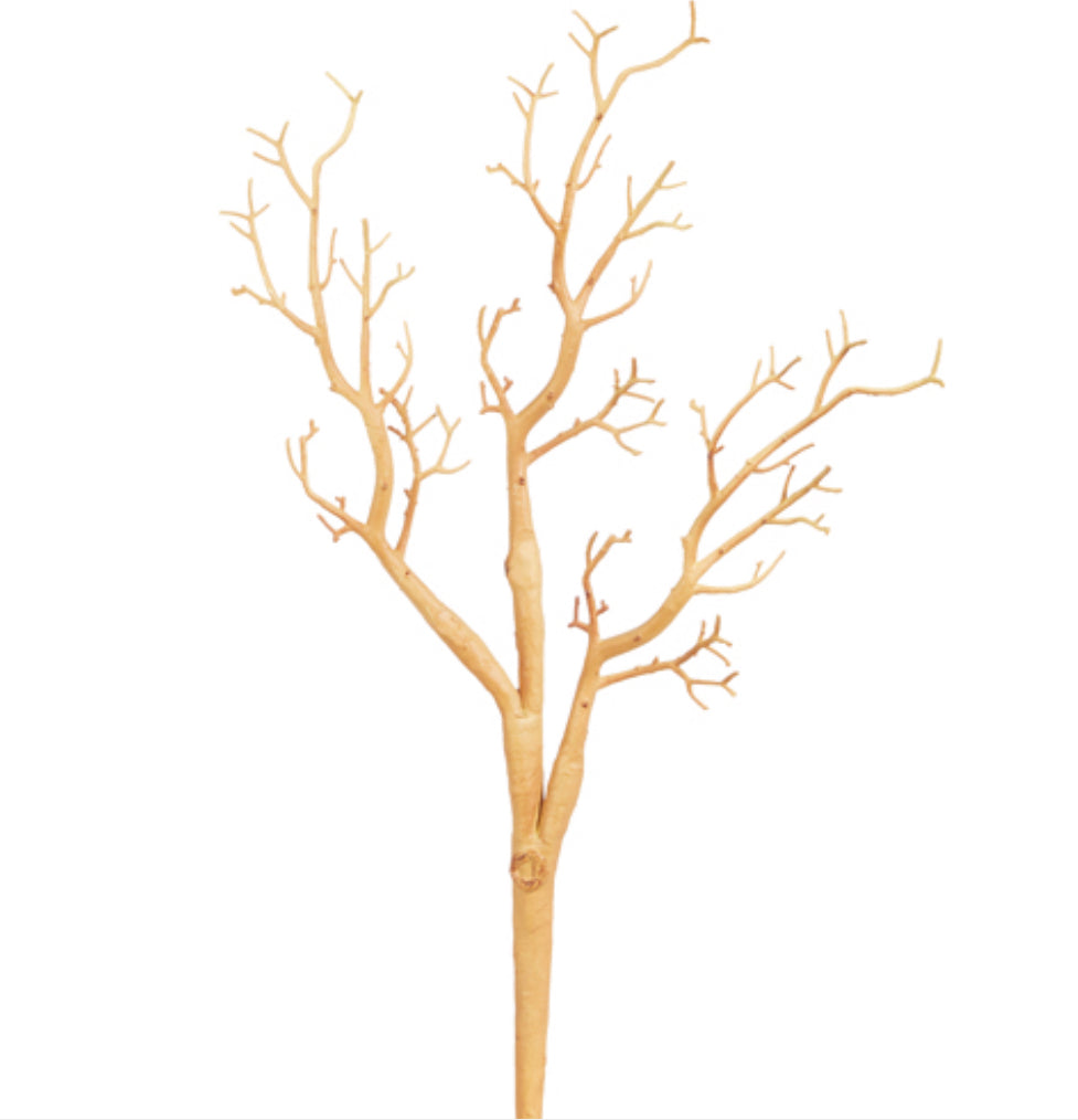 Natural Manzanita Branch