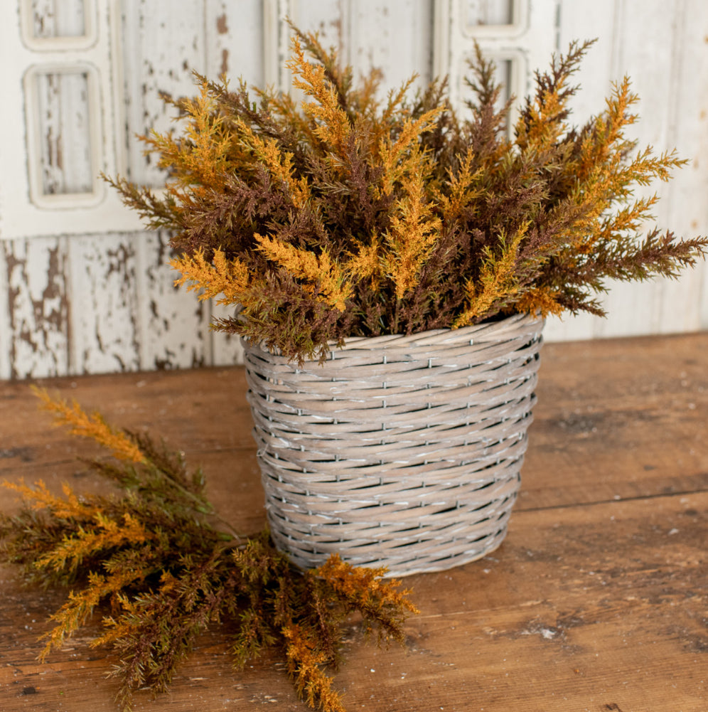 13” Brown & Gold Prickly Pine