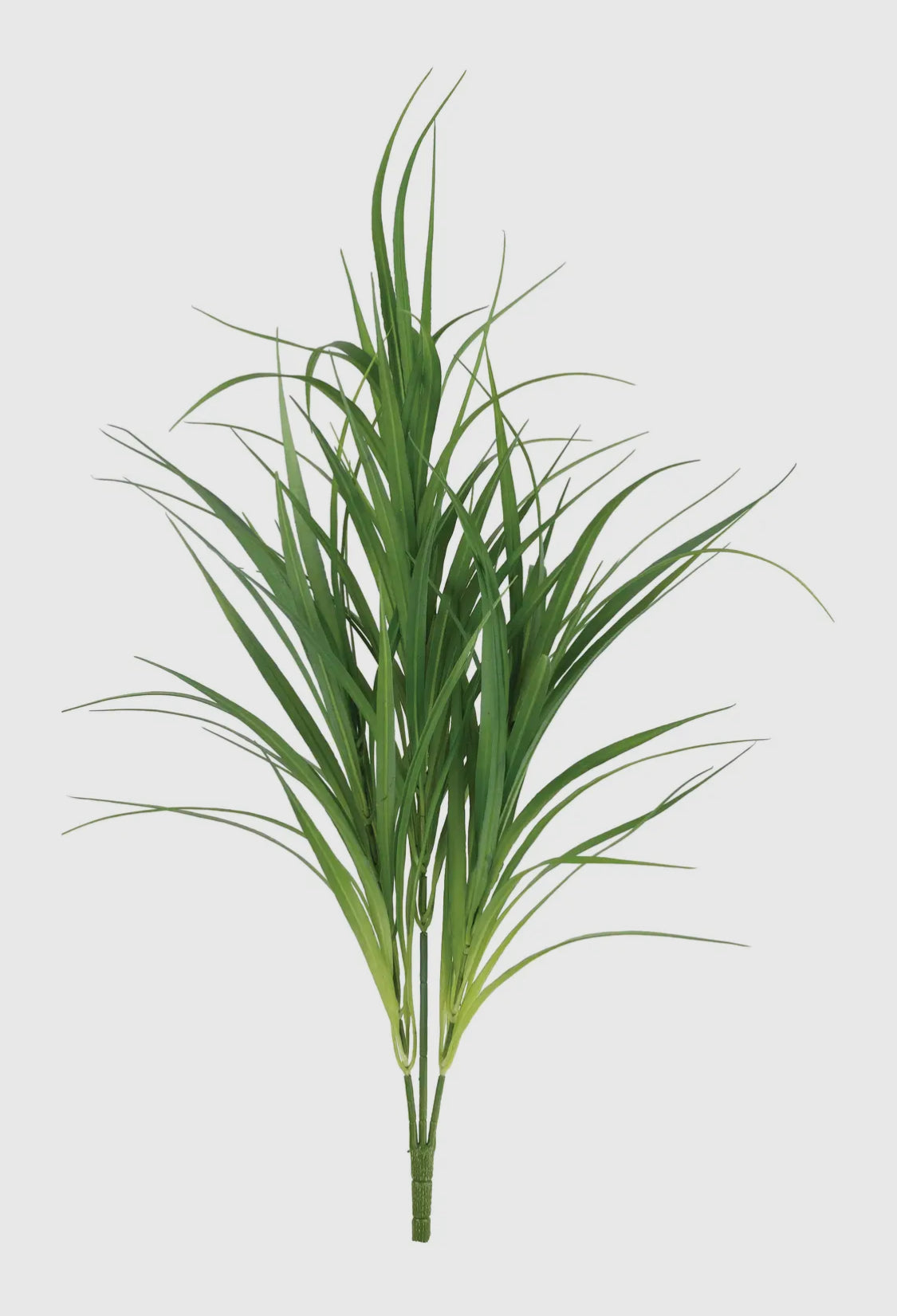 Grass Bush