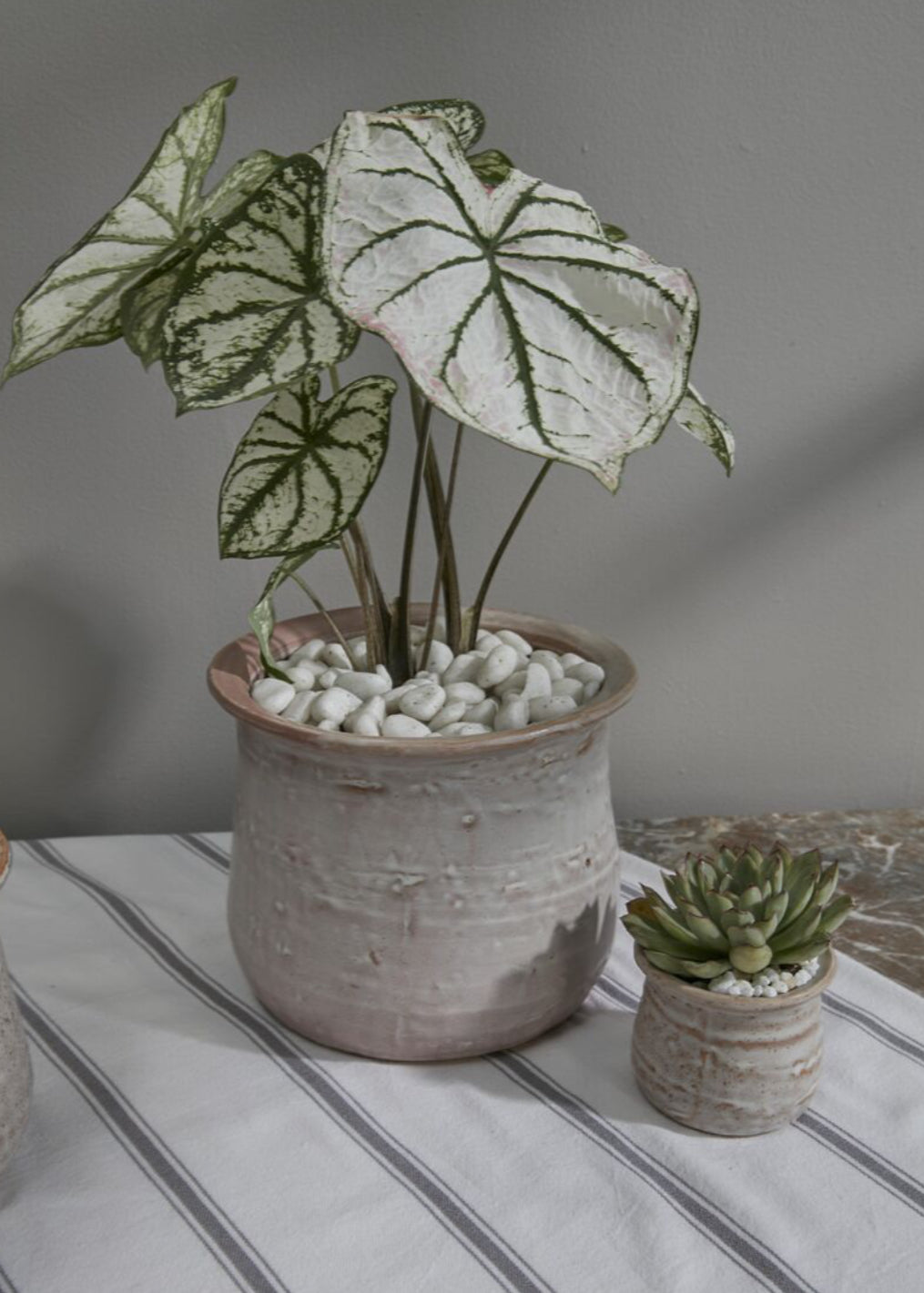 Gamma Pot