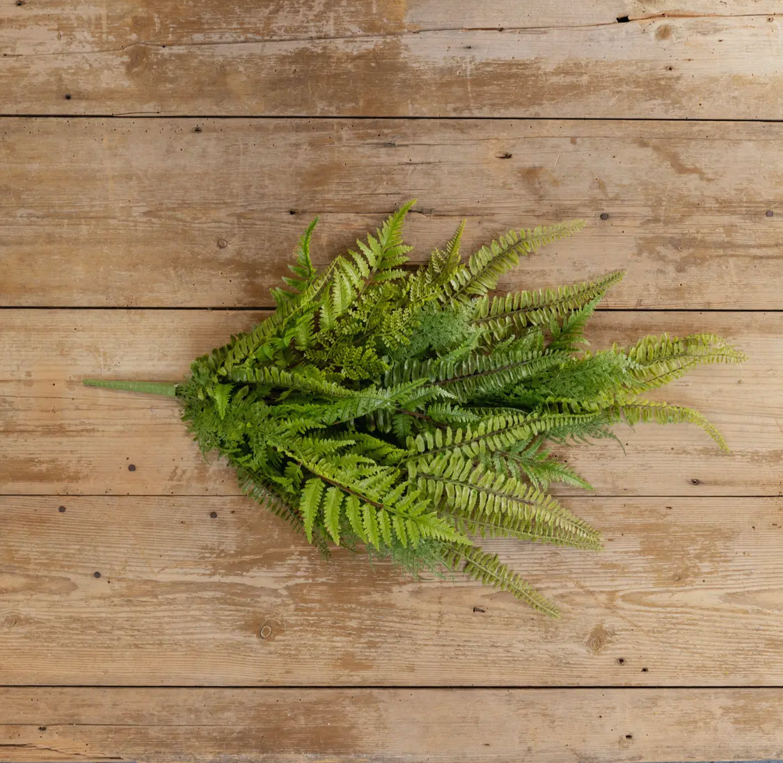 32” Lacey Fern Hanging Bush