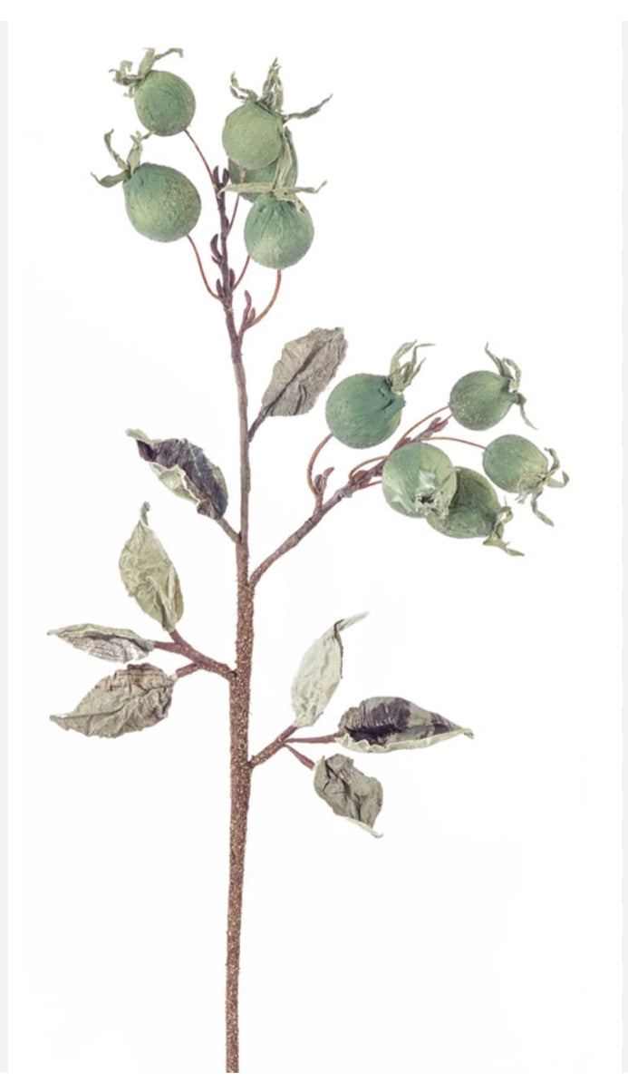 Green Pod Stem