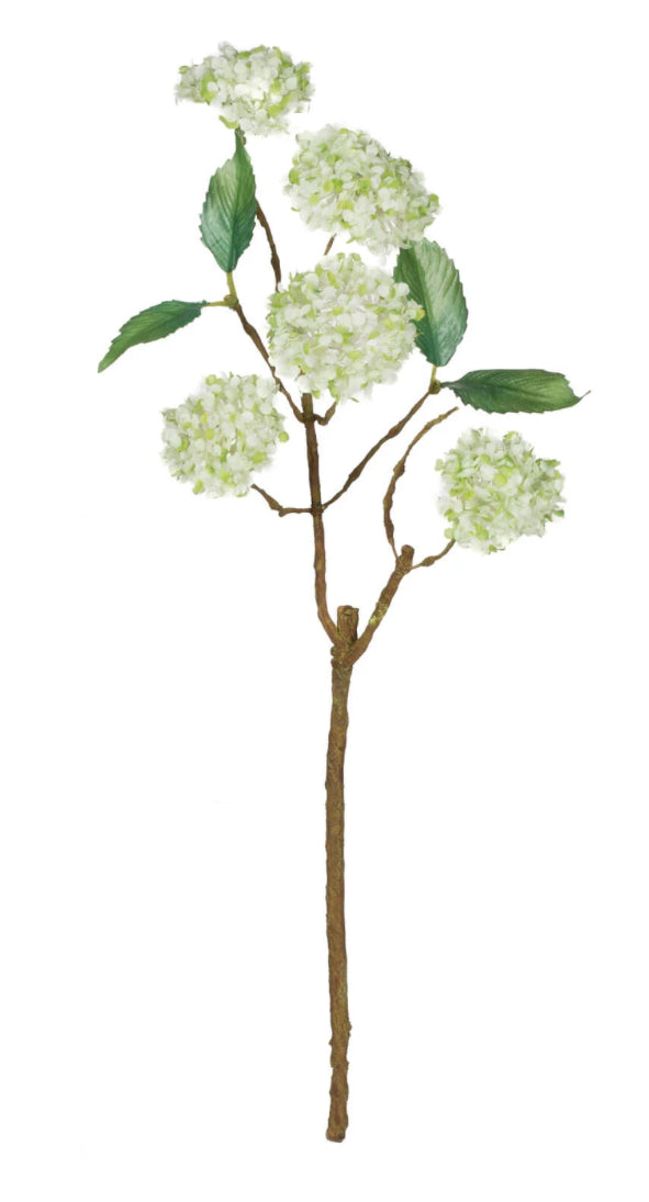 White Snowball Stem