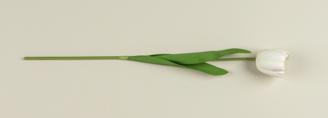 21.5” Soft Touch White Tulip Stem