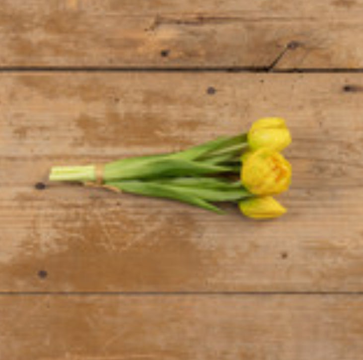 9.5” Yellow Tulip Bush