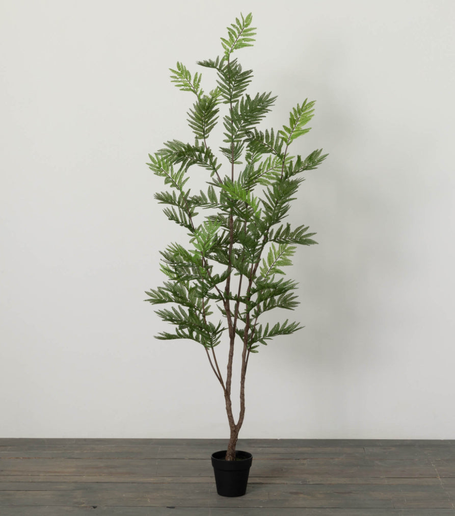 5’ Life-Like Fern Tree