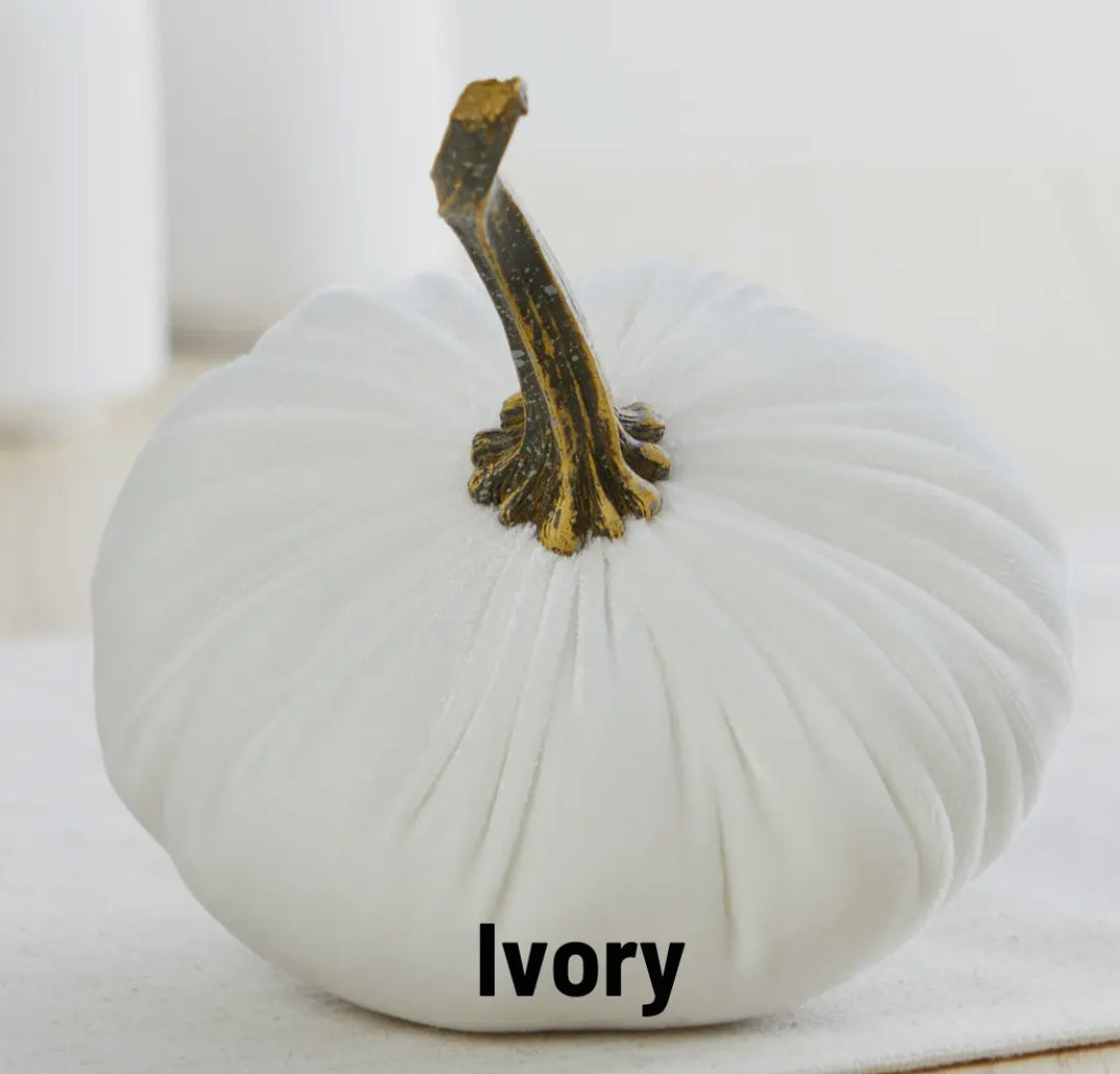 Small Ivory Velvet Pumpkin