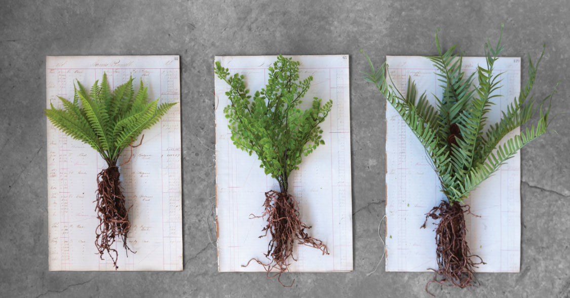 Faux Fern w/Exposed Roots