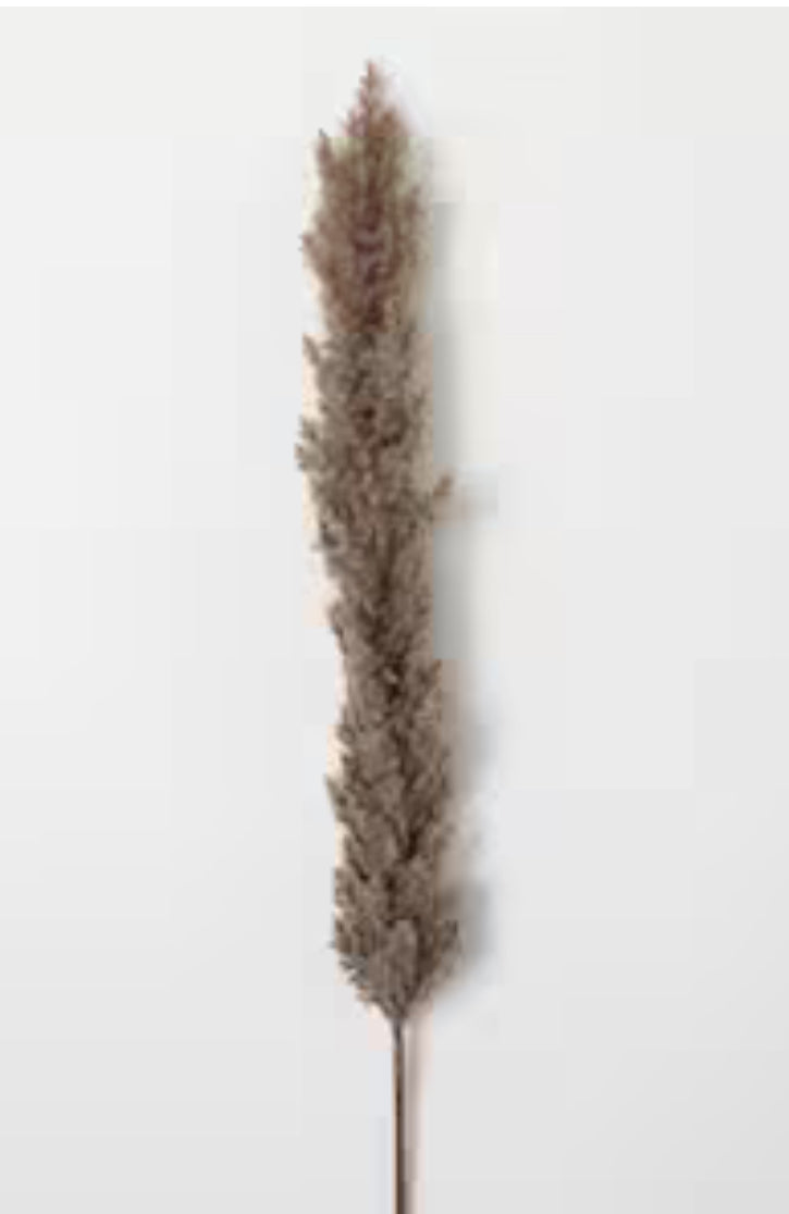 Faux Dried Tall Sepia Plume