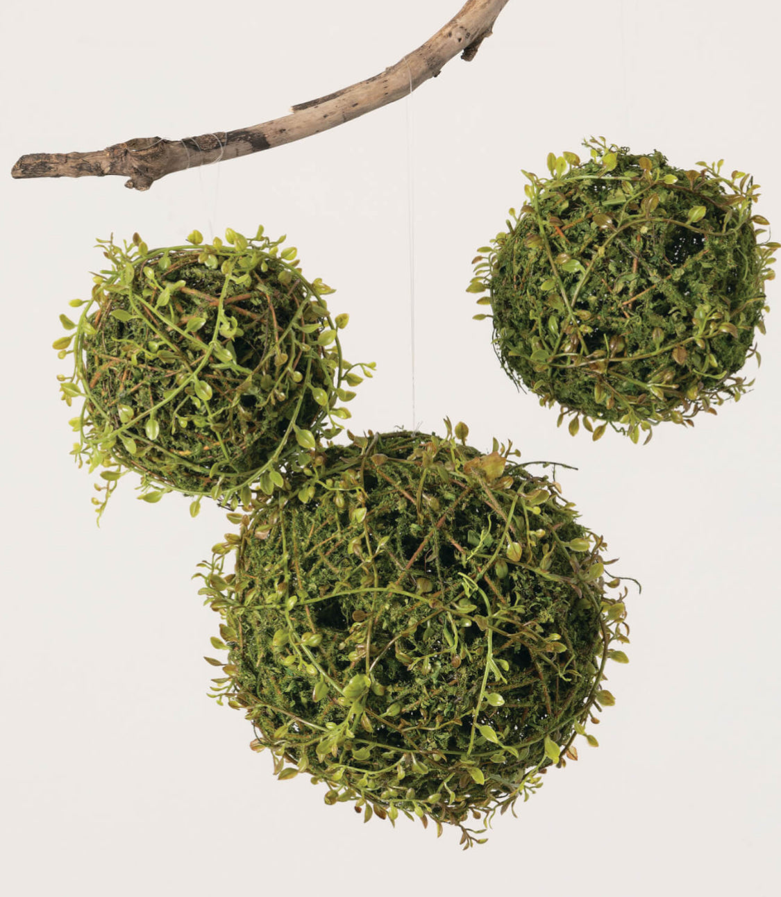 6” Mossy Leafy Vine Orb