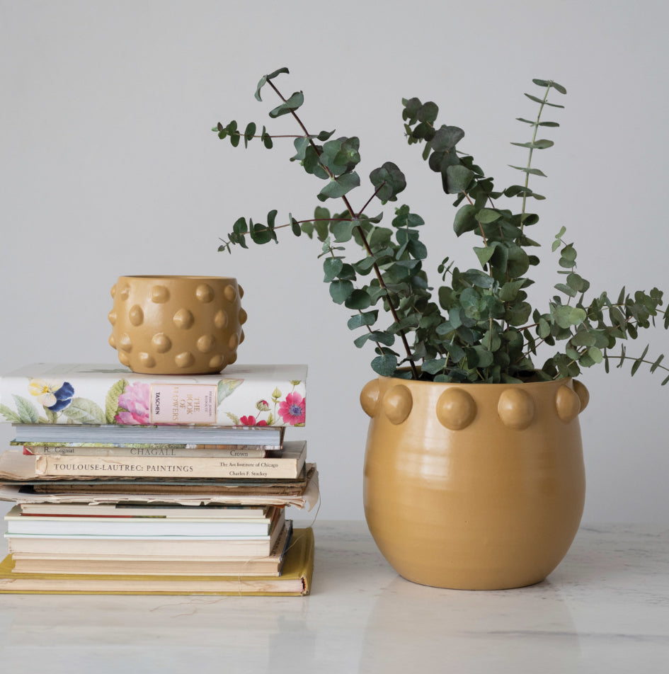 Terracotta Planter w/Raised Dots