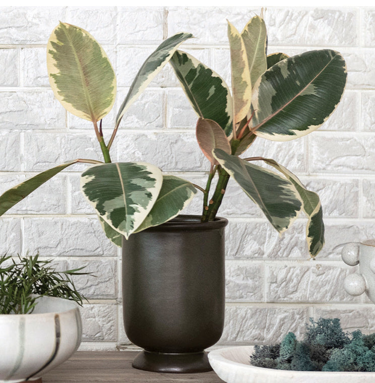 Stoneware Vase