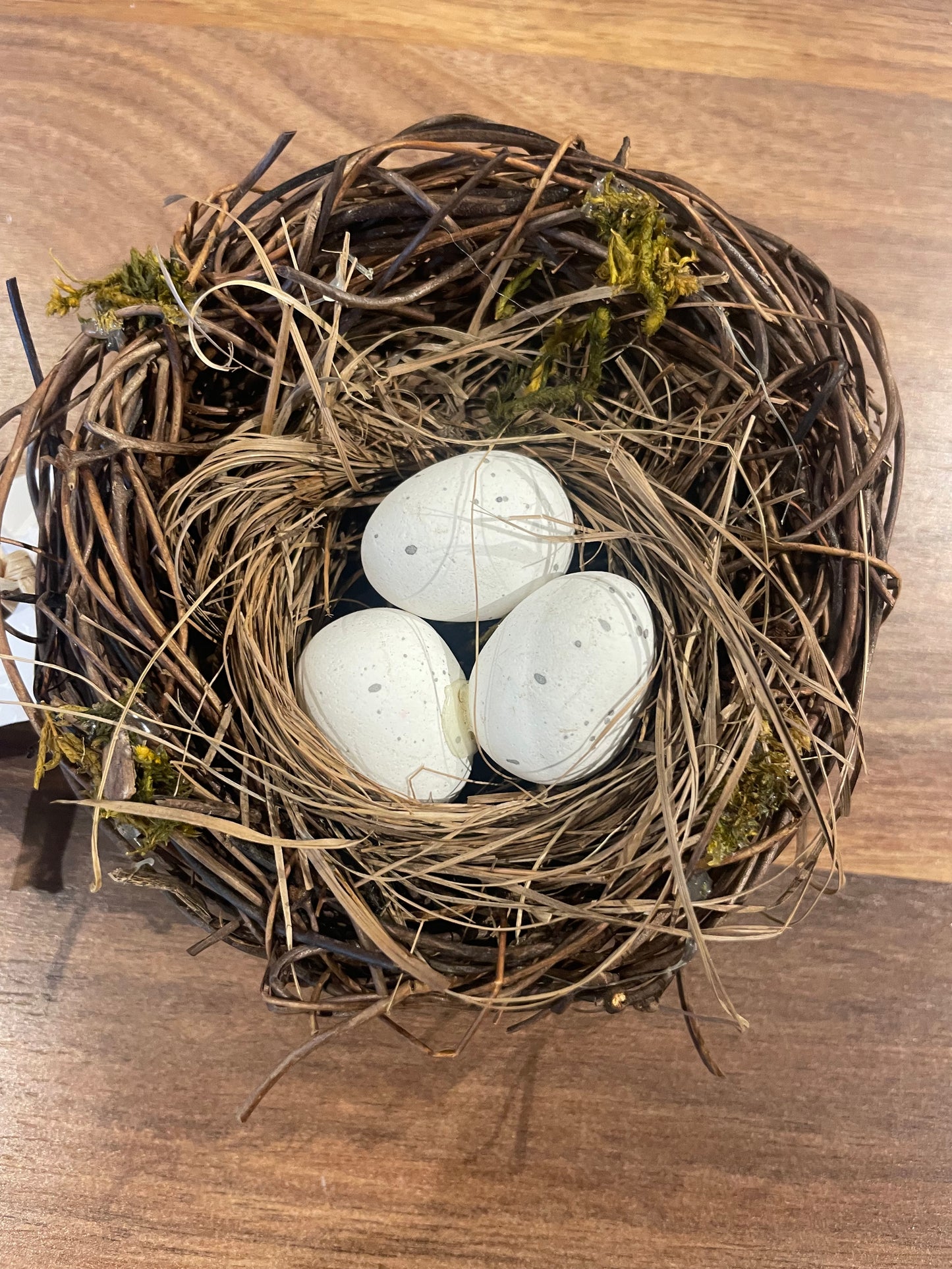 Birds Nest w/Eggs