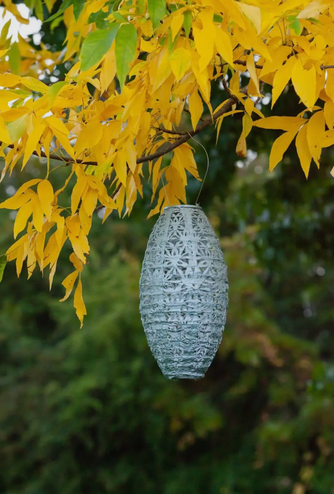 Stella Wildflower Pod 15” Solar Lantern-Sage