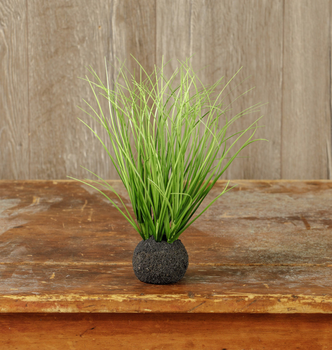 10” Wild Onion Grass Bulb
