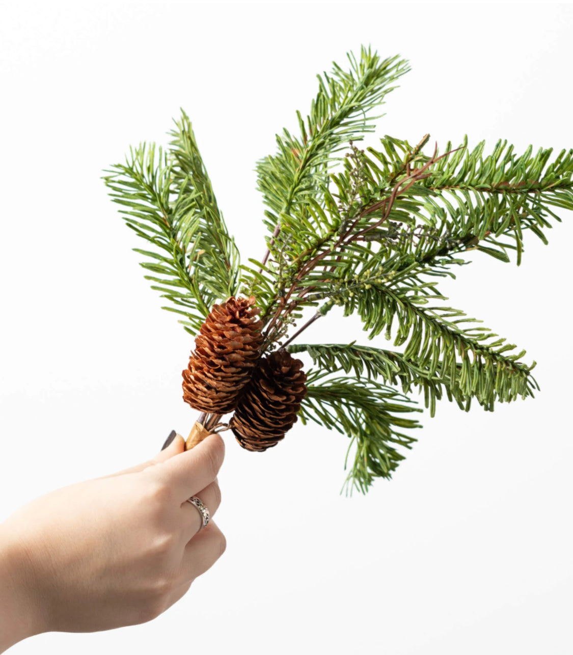 Soft Touch Pine Spray