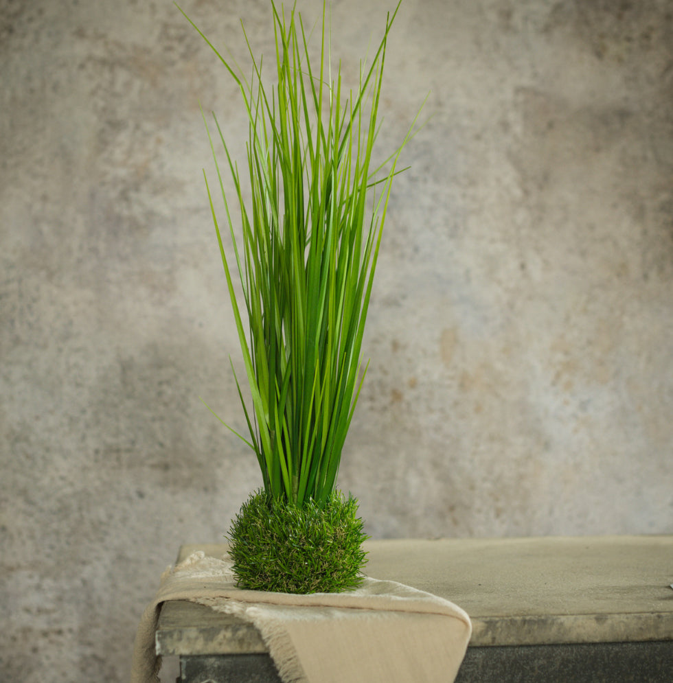 19.75” Onion Grass In Grass Base