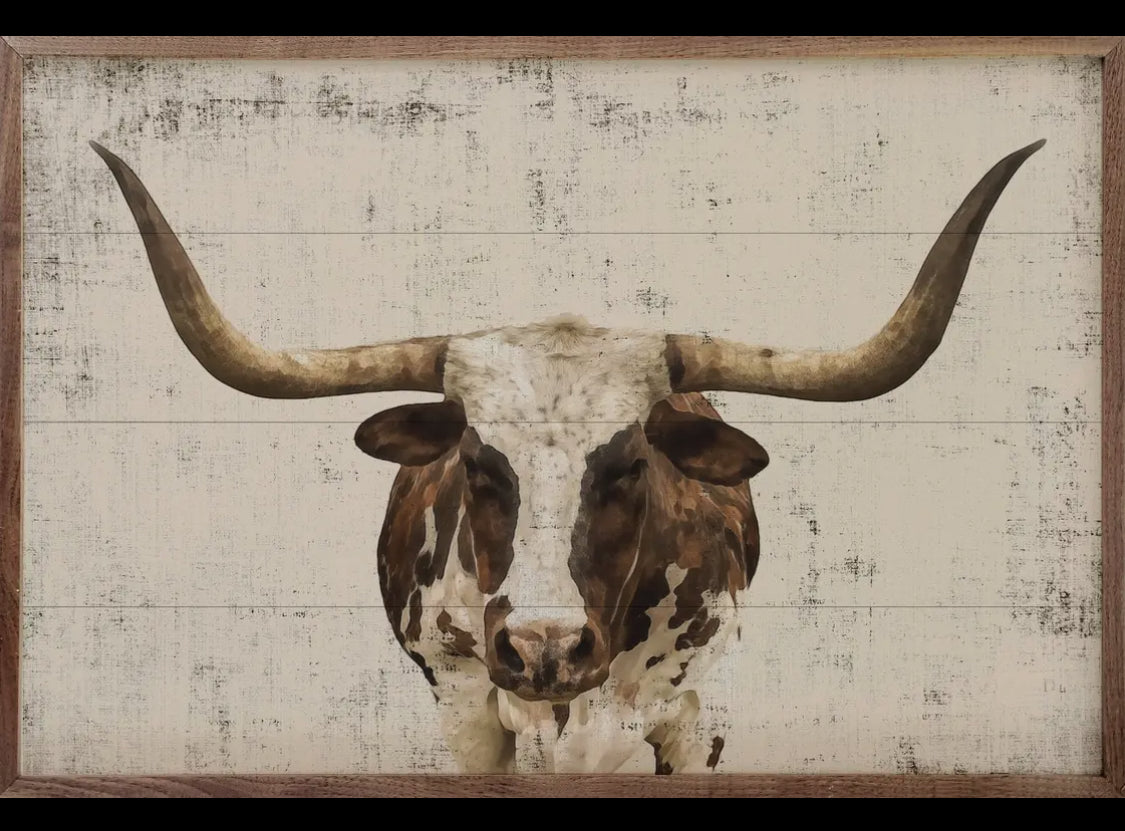 34”x16” Longhorn Whitewash