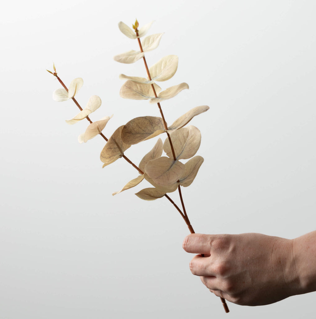 Cream Leaf Stem