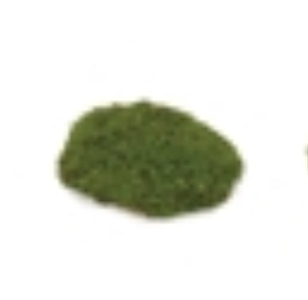 7.25”L Moss Pad