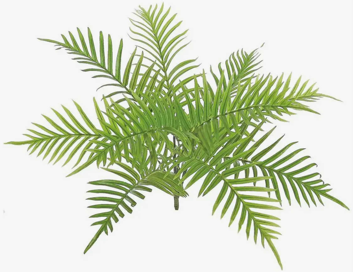 24” Areca Palm Bush
