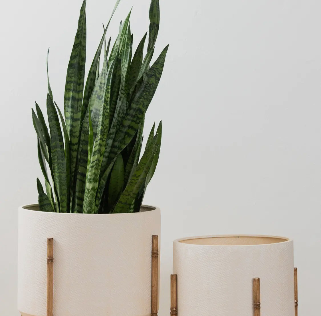 Cream Textured Metal Planter w/Bamboo Metal Stand-Lg