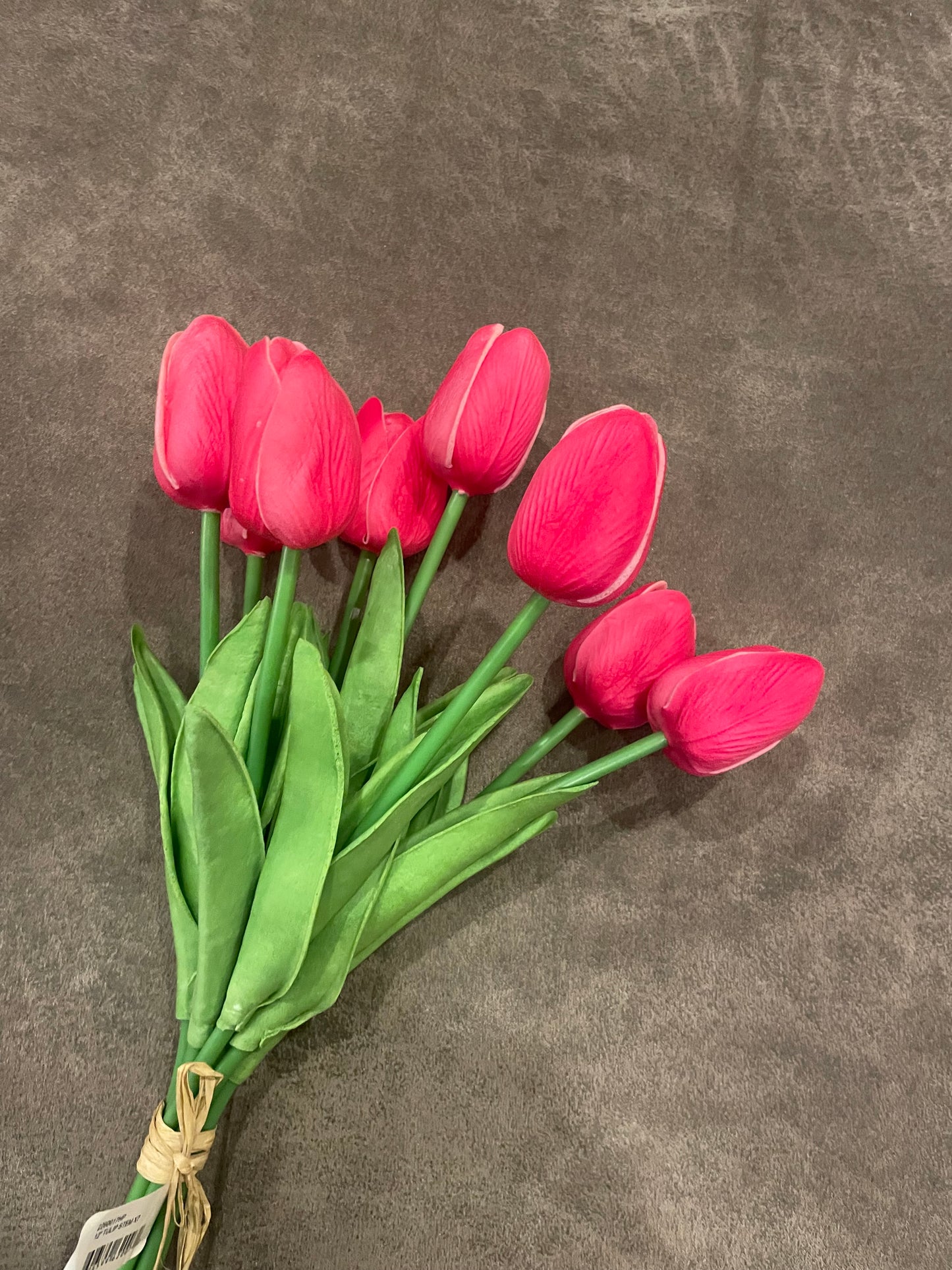 Hot Pink 12” Tulip Stems c7