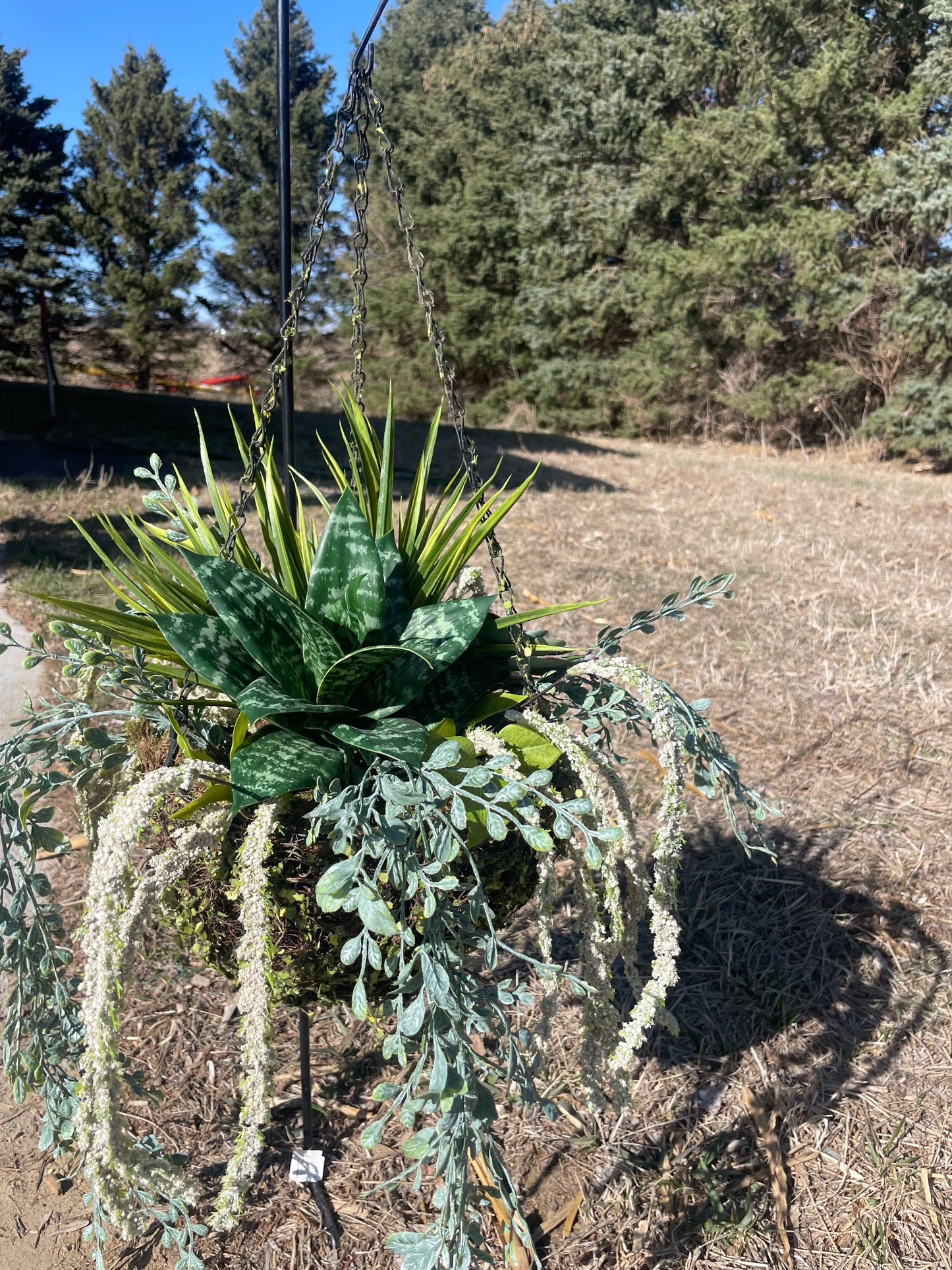 Custom Hanging Outdoor Basket w/ Greenery