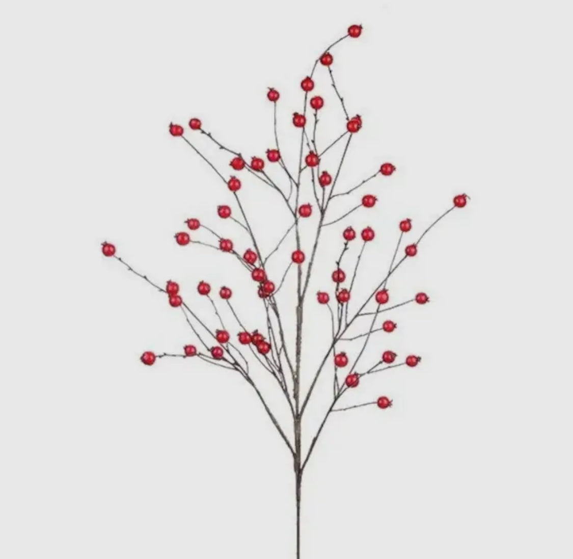 Weatherproof Red Berry Branch