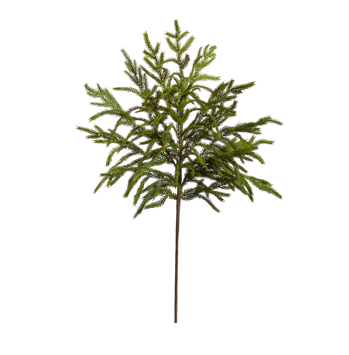 33” Norfolk Pine Spray