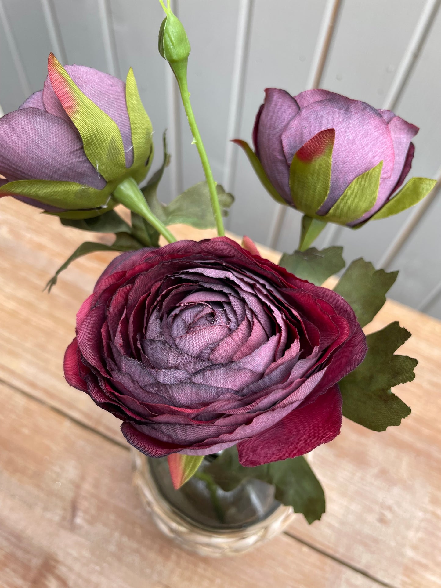 Plum Ranunculus stem x 3