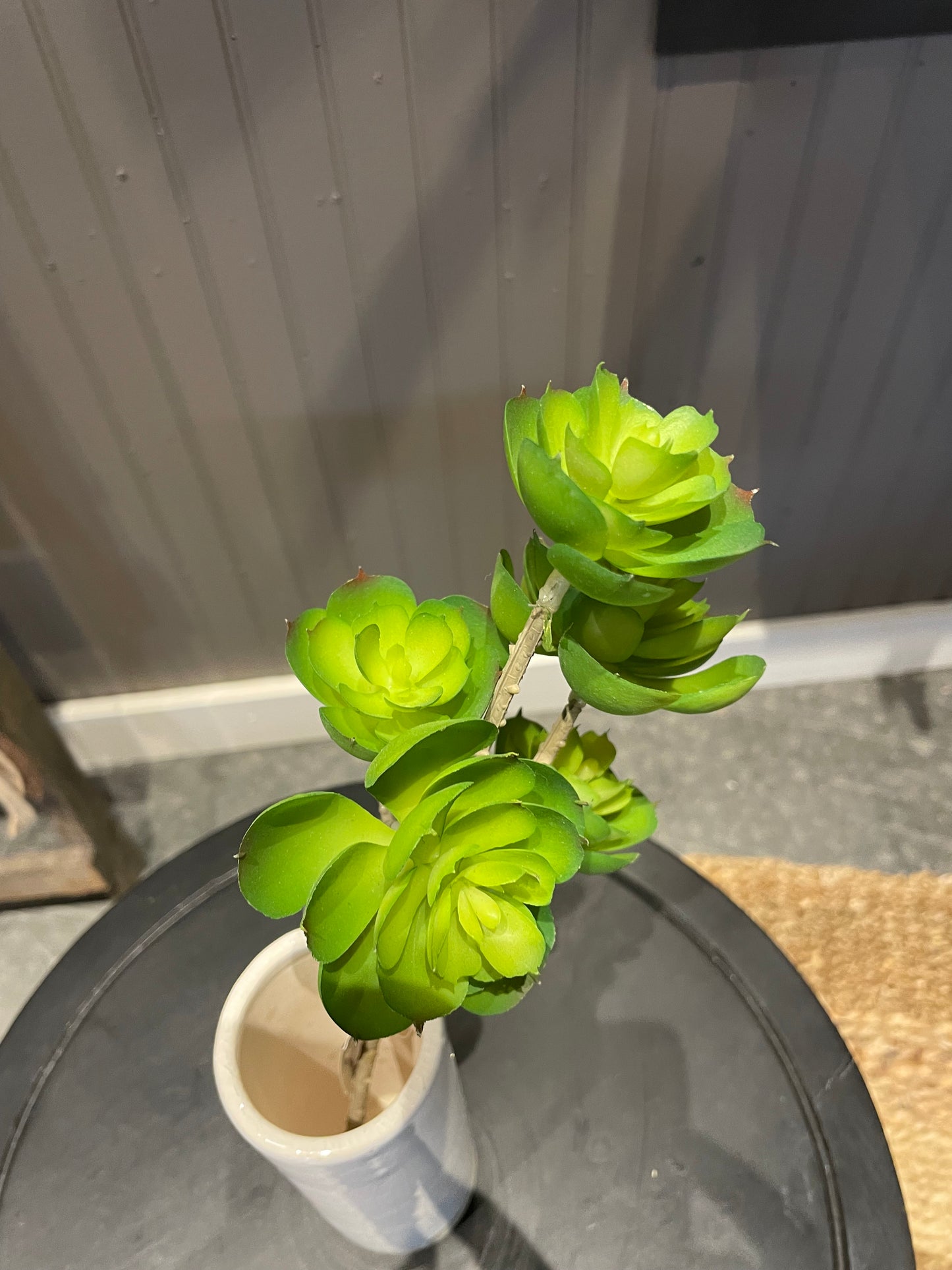 13” Hen & Chicks stem x5