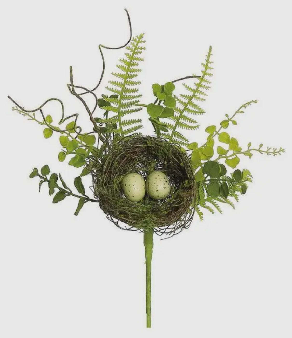 Bird’s Nest Pick w/Eggs & Fern
