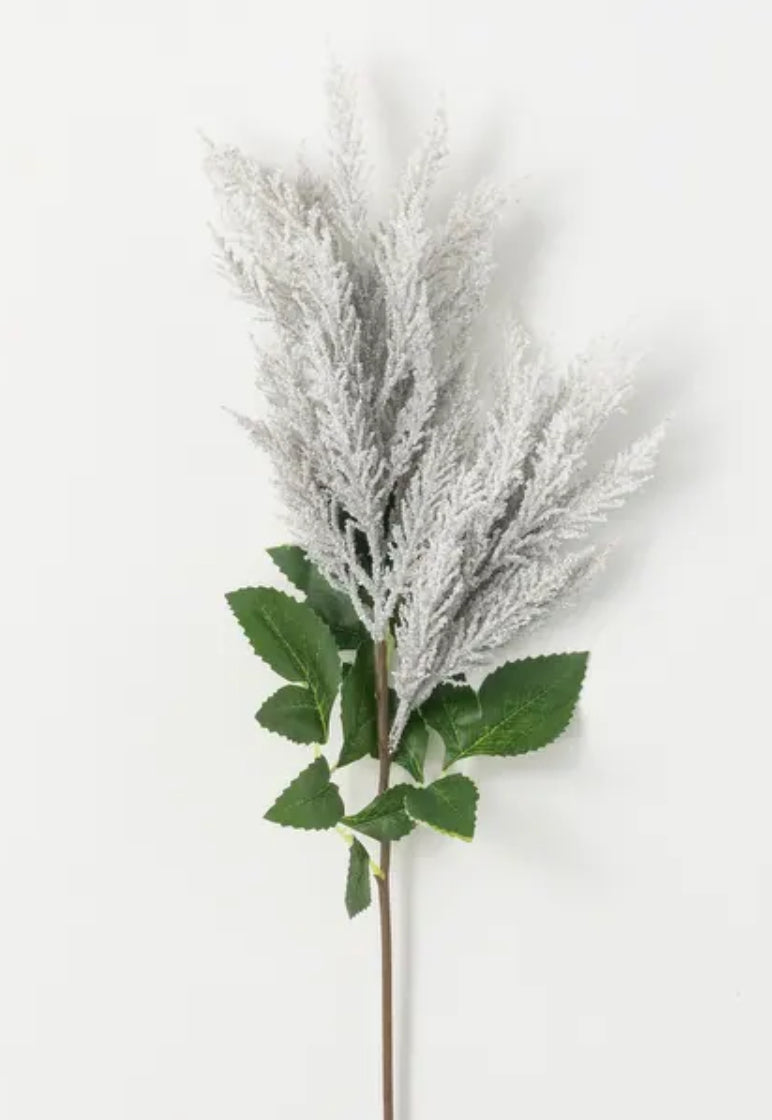 Muted Gray Astilbe Stem