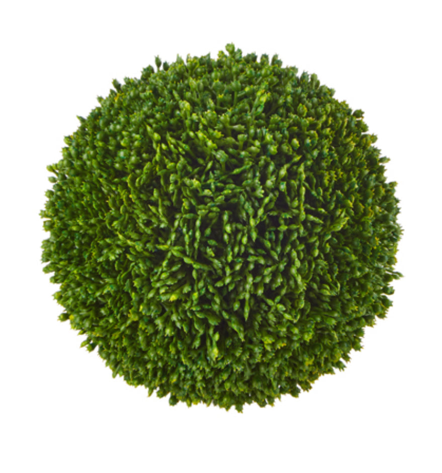 4.5” Sedum Ball
