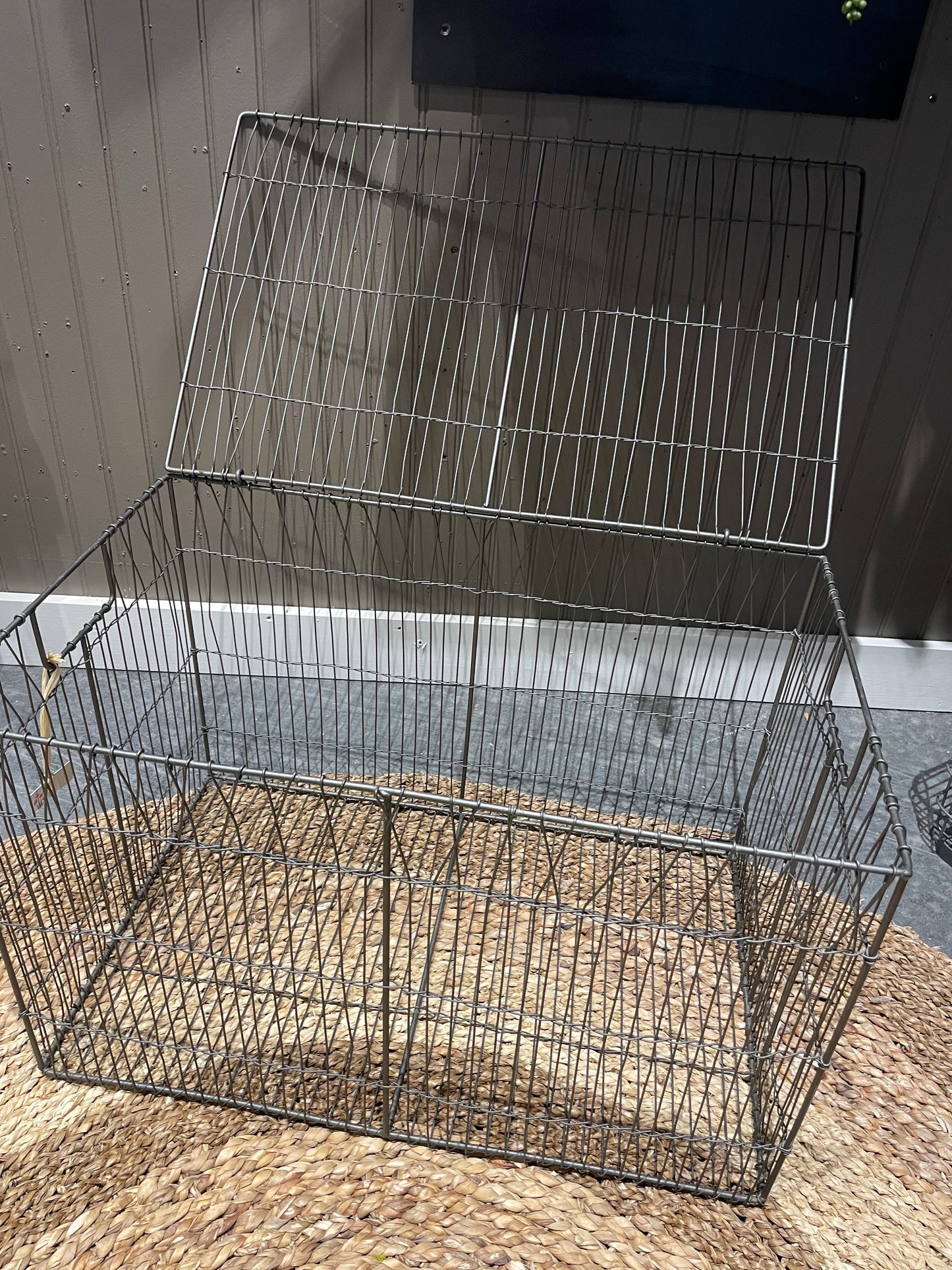 Metal Trunk w/Lid