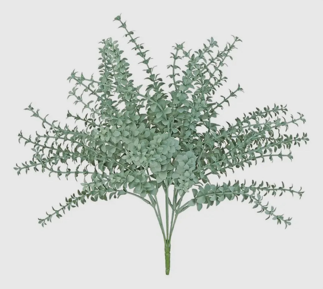 Heart Leaf Bush