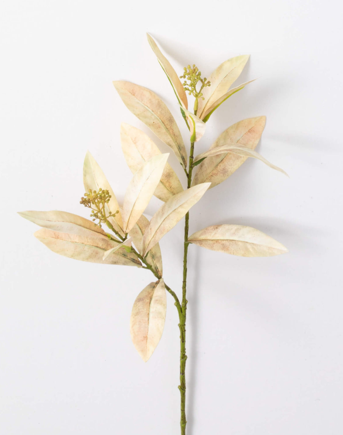 Cream Leaf Spray