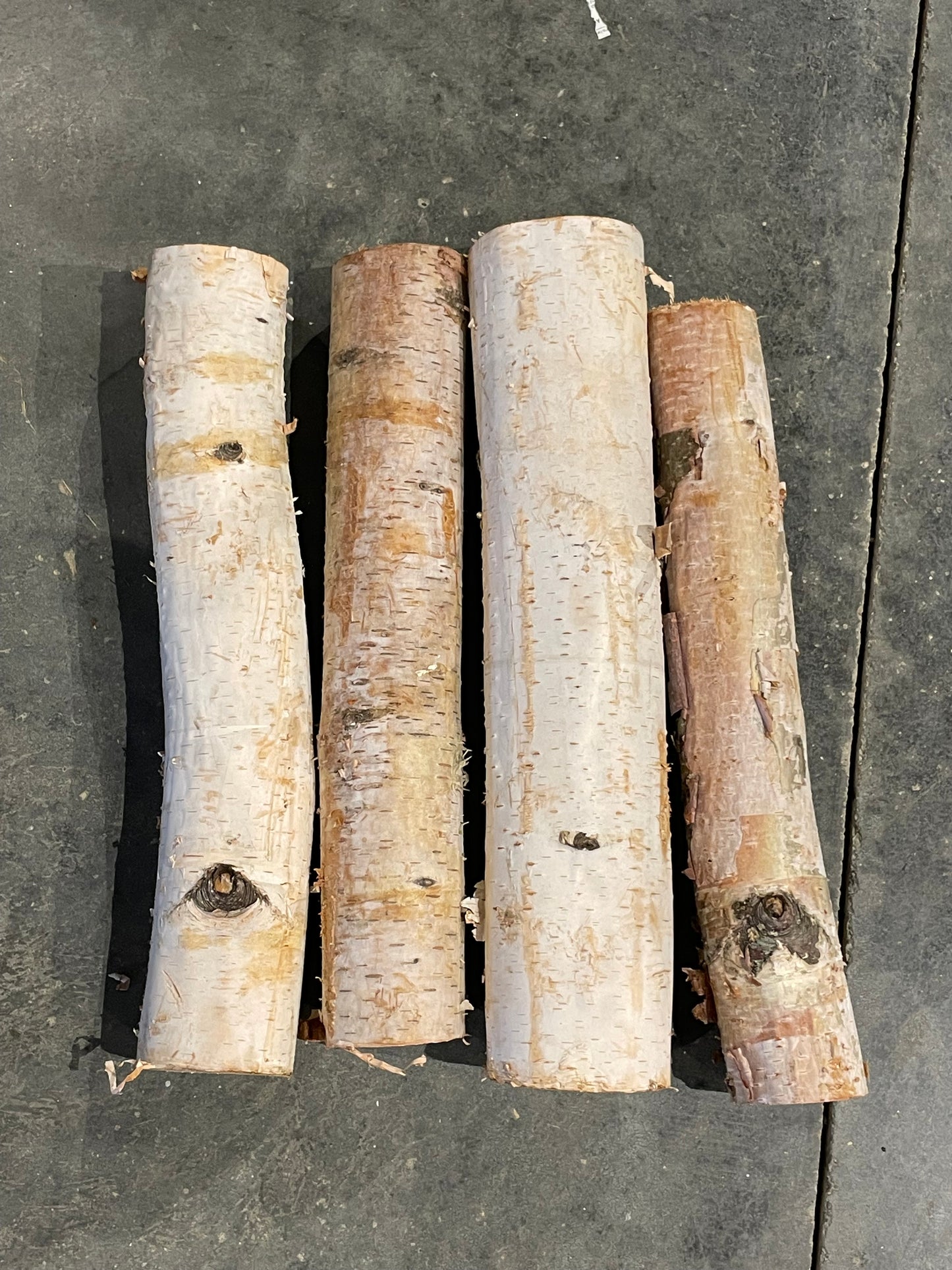 Birch Log