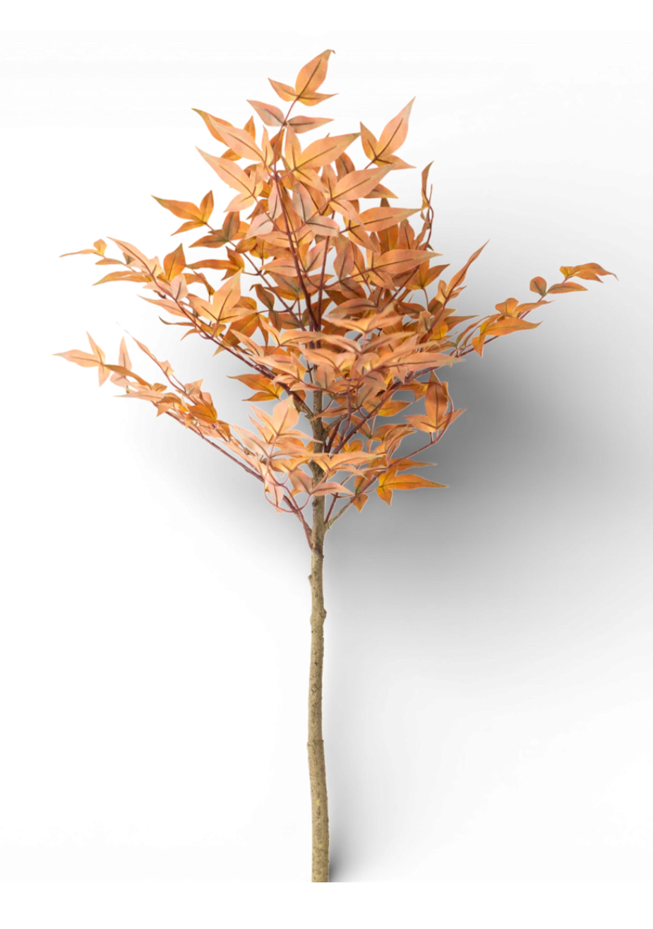 4’ Heavenly Bamboo