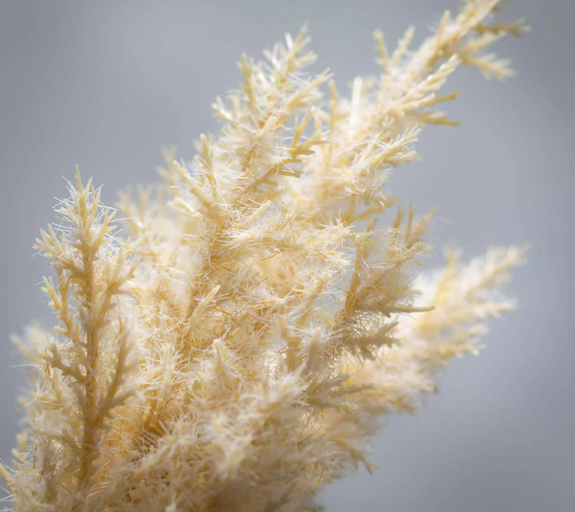 faux Dried Tall Ecru-Hue Plume