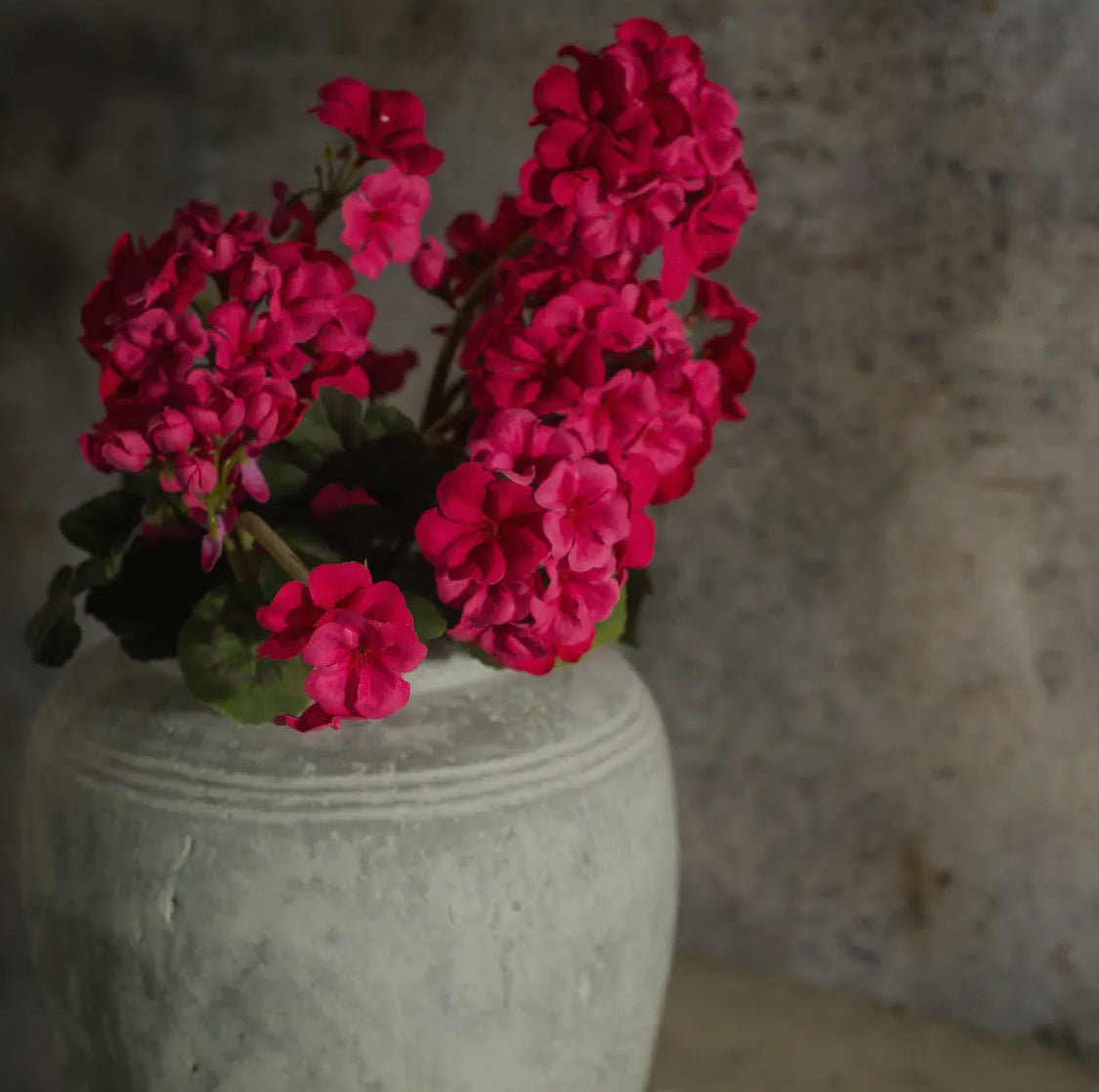 19.5” Dark Pink Geranium Bush