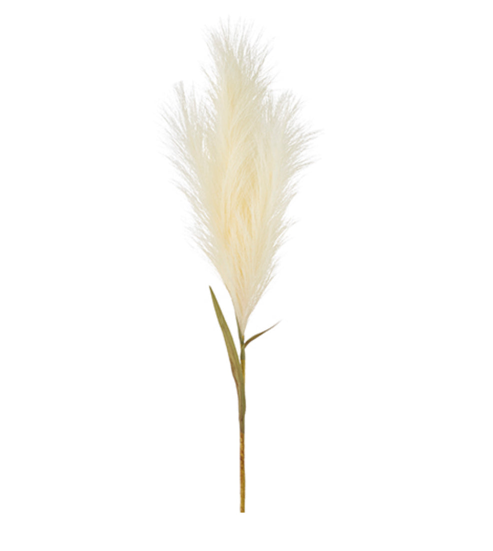 33” Pampas Grass Plume Sten