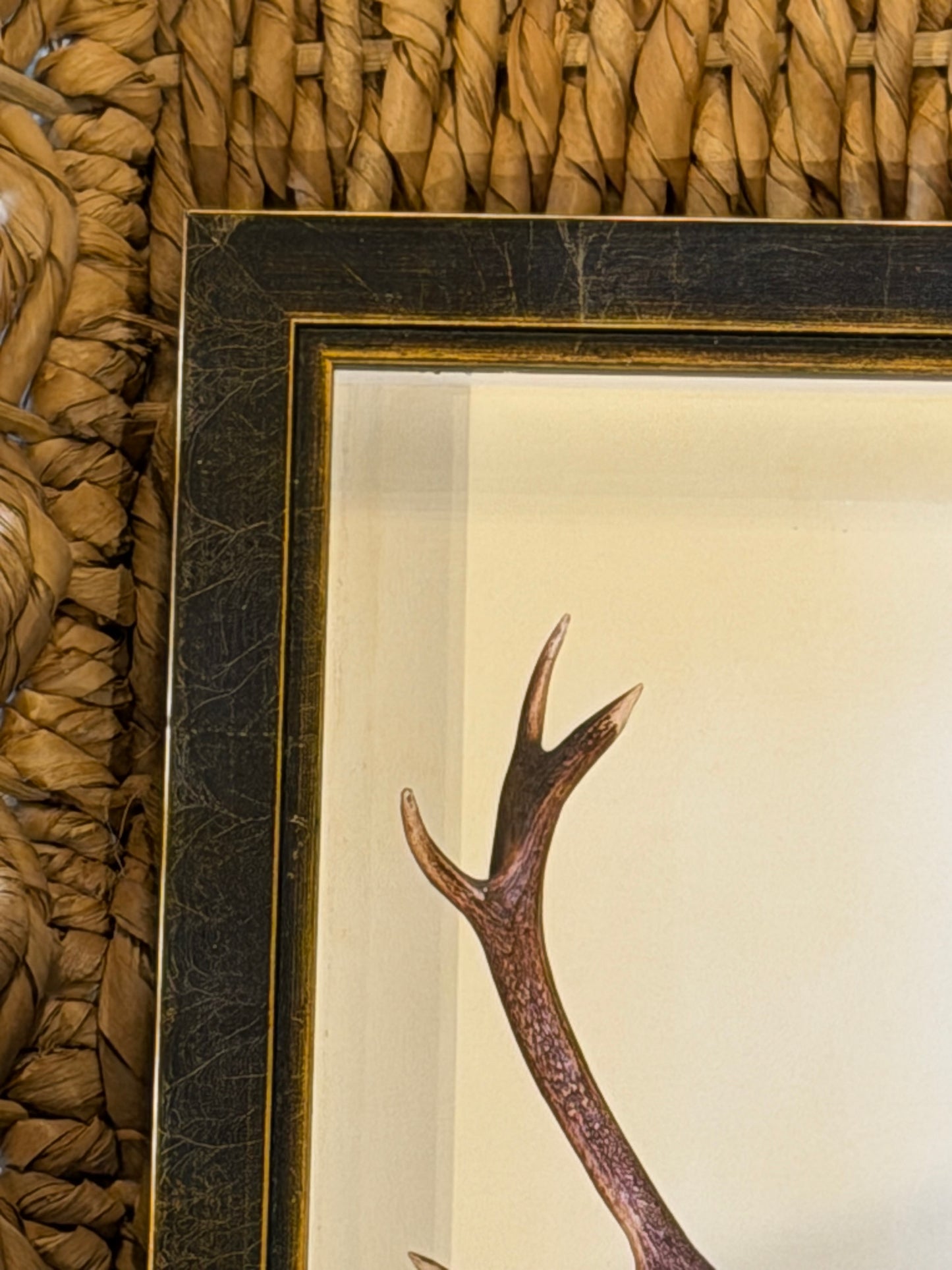 10” x 8” Vertical Antlers