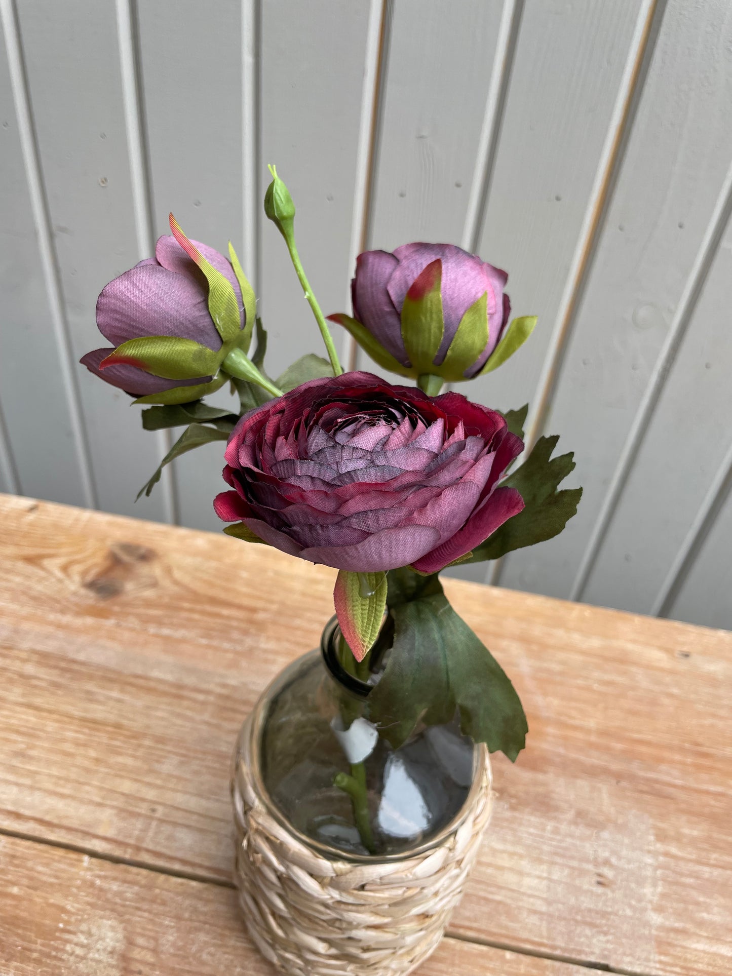 Plum Ranunculus stem x 3