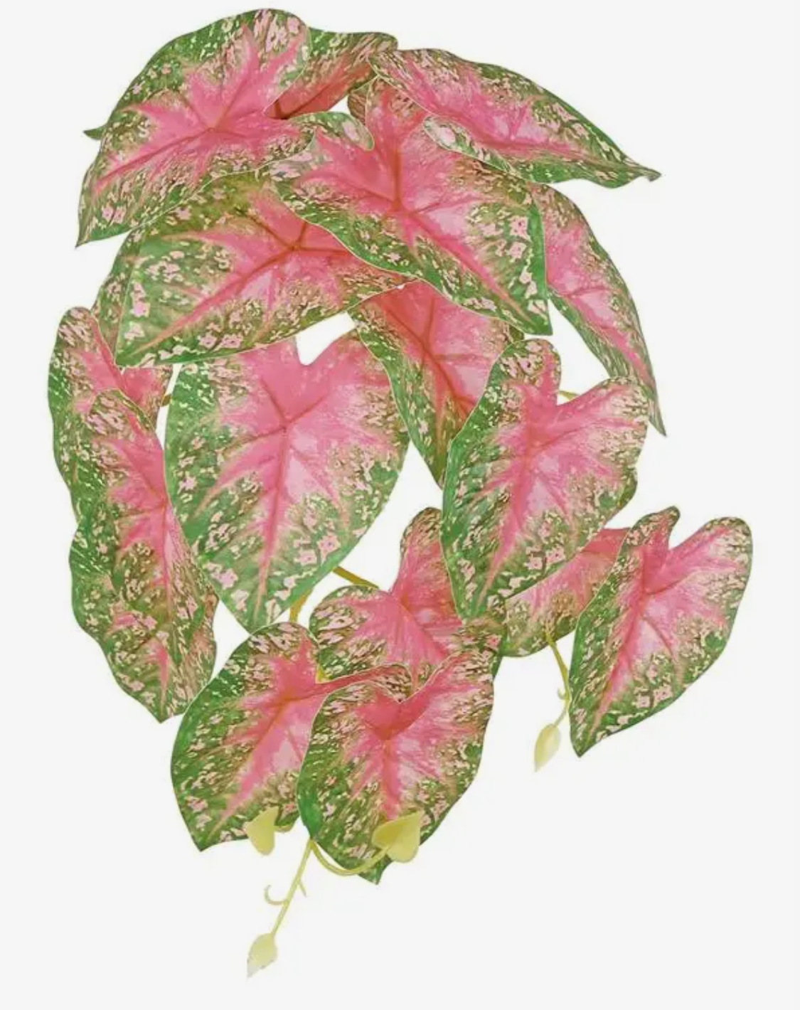 13” Caladium Leaf Vine